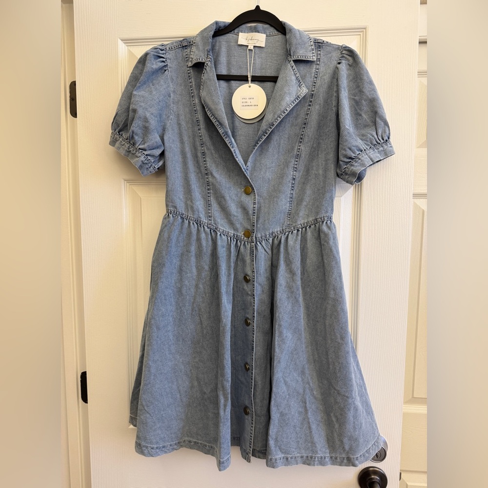 In February Denim Dress with Pockets Large